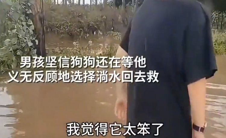 洪水退去全村都走了 男子堅持回村找狗狗 看到這一幕忍不住流淚 網友討論毛球胖狗自救