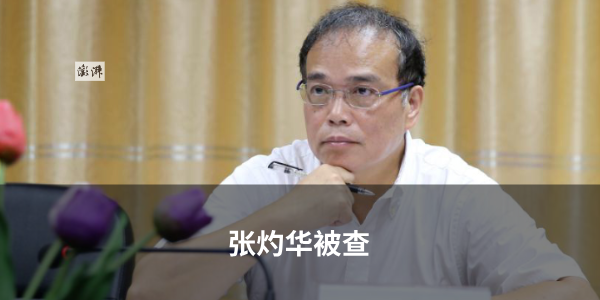 蒋方舟2026已报警!面對肖鹰教授論文造假指控這樣逐項回應 太扯了必看