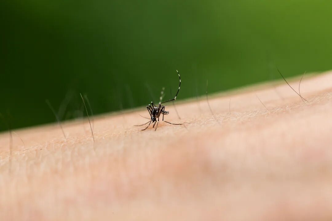 VCG211395829636.jpg