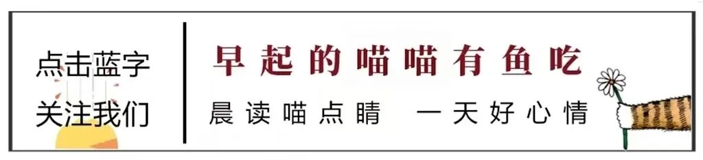 2026 A股最慘方向太扯!3700股慘跌救市卻冰火兩重天 這樣配置才穩