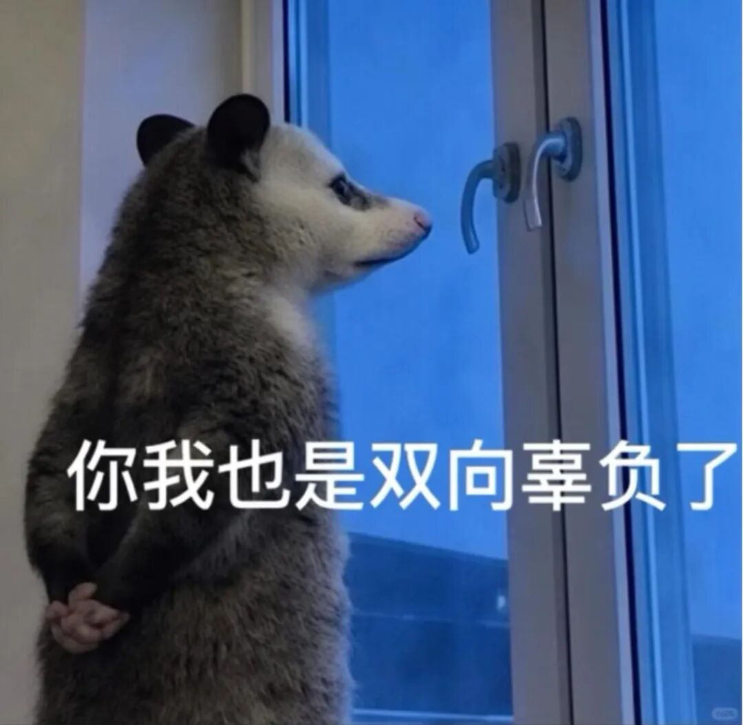 2026年了還在問「談戀愛到底在談什麼」?看完這些真實分享,我突然不羨慕了