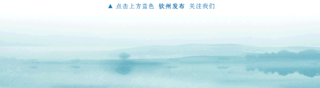 鍾暢姿這樣喊!欽州全力化解歷史矛盾維護群眾利益 2026攻堅重點必看
