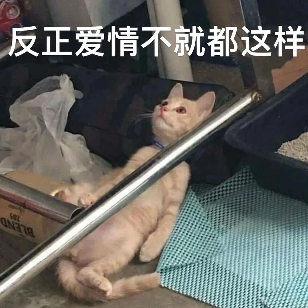 2026年了還在問「談戀愛到底在談什麼」?看完這些真實分享,我突然不羨慕了