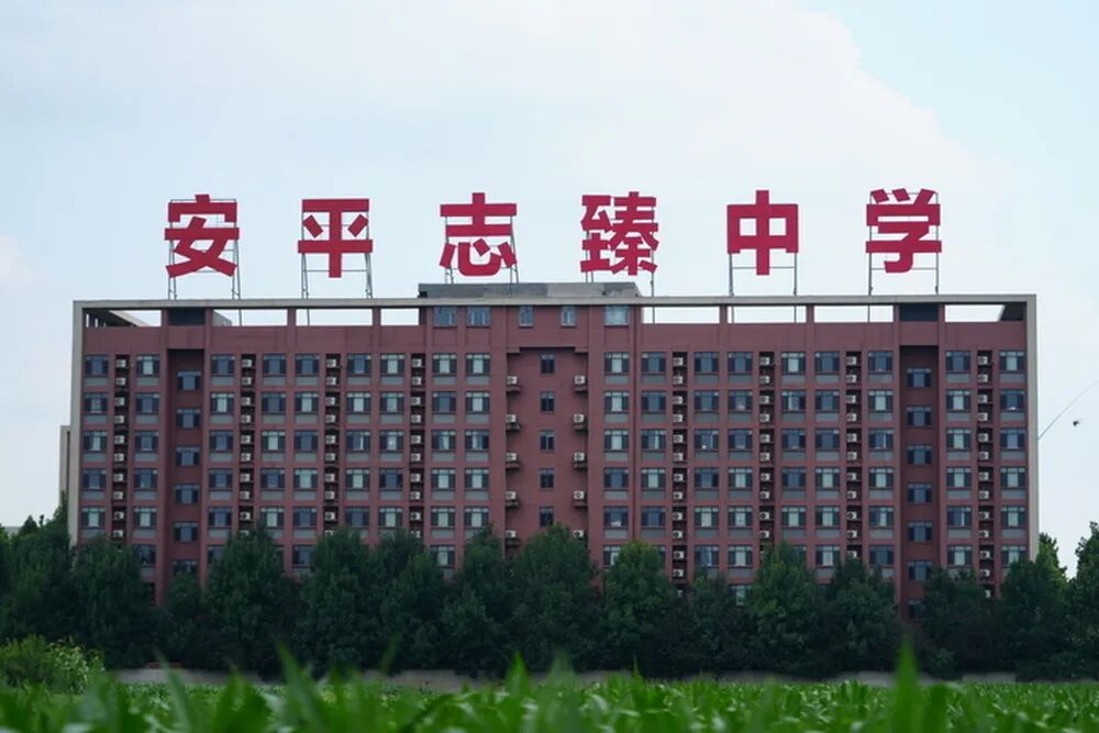 衡水志臻中学债务危机引热议!联合调查组深夜发通报,2元买走8亿股权真相大揭秘