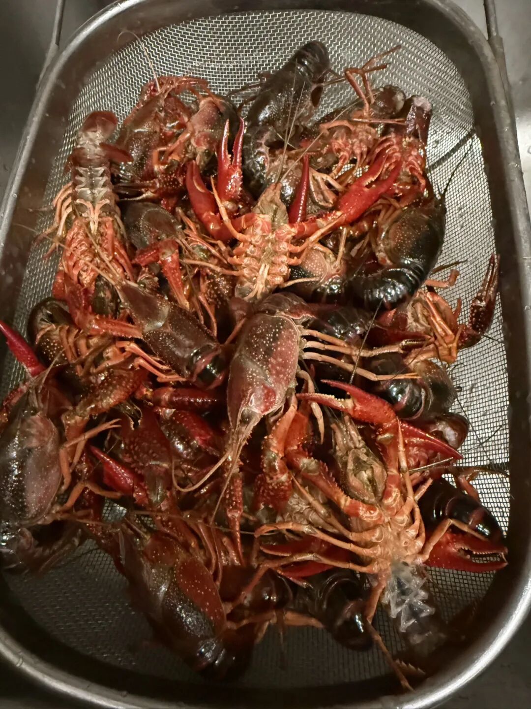 中年夫妻十對九對在凑合!她買布做沙發布,先生一句話氣到她不吃小龍蝦
