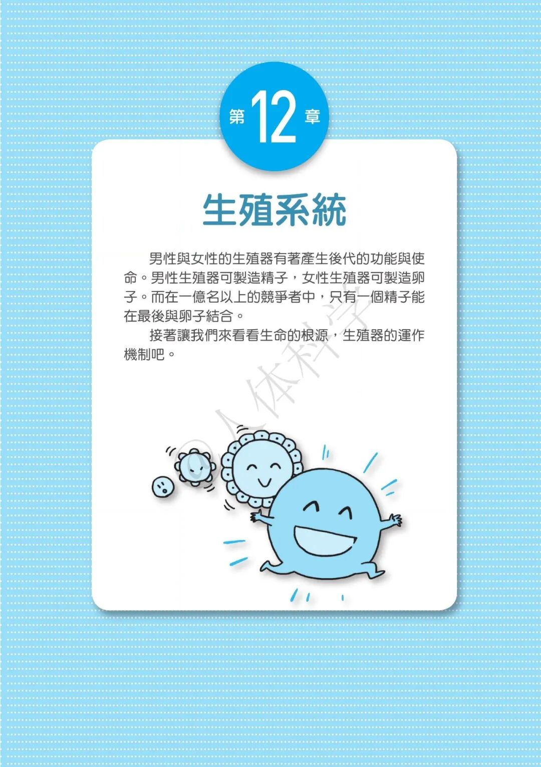【生殖系統】男性女性生殖器運作原理,原來新生命是這樣「接力」誕生的!