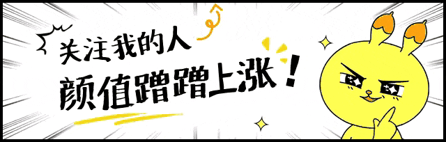 2026 多地養犬新規超嚴!不牽繩直接捉走 網友怒批:城市養狗哪有文明